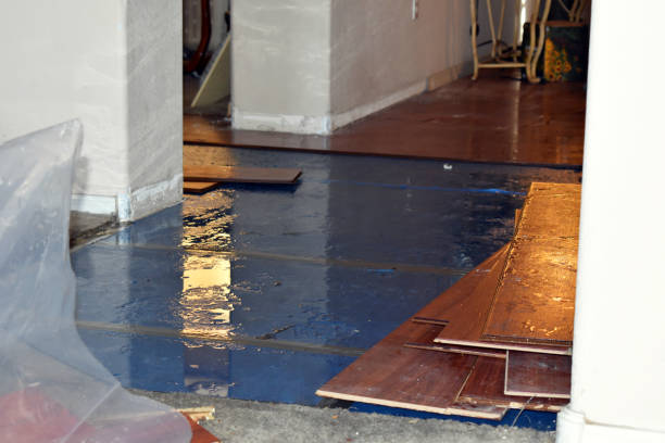 Professional Basement Flood Cleanup technician working in Maysville, OK
